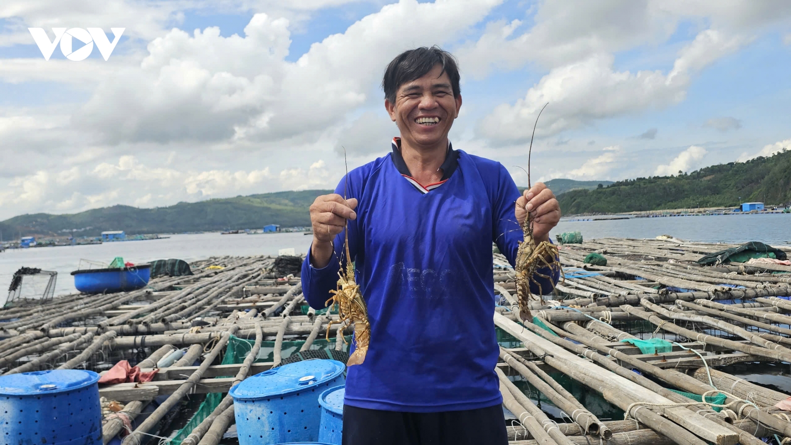 Nghề nuôi tôm hùm ở Đắk Lắk cố gắng hài hòa với môi trường biển